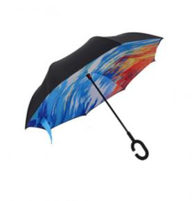 Buy Inverted Umbrella Online